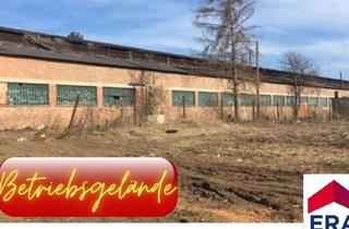  in 2181 Dobermannsdorf, Dobermannsdorf MIETE - Vielseitiges Betriebsgelände mit 3 Hallen