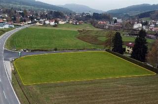 Grundstück zu kaufen in 3683 Yspertal, Großes BAUGRUNDSTÜCK im Yspertal - Widmung Bauland/Wohnen