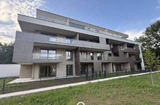Penthouse kaufen in Farnholzweg 15, 4600 Schleißheim, Wohnen am Farnholz - Wohnung 1.OG/TOP 2.10 mit Loggia/TGP inklusive