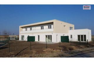 Wohnung mieten in Kammersdorf 225, 2033 Kammersdorf, Dachterrassenwohnung in Kammersdorf Top 6