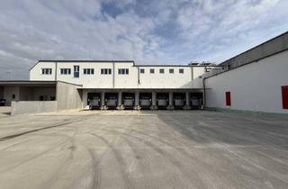 Büro zu mieten in 2325 Himberg, Tiefkühl- sowie Trockenlager zur Vermietung - Himberg!