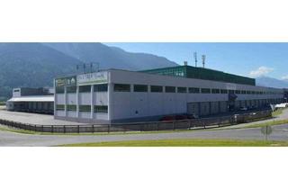 Büro zu mieten in 9800 Spittal an der Drau, Multifunktionshalle Spittal - Gewerbe & Logistikpark