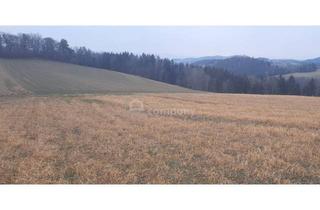 Gewerbeimmobilie kaufen in 2811 Wiesmath, Sommerpreis!! Ackerland in Wiesmath