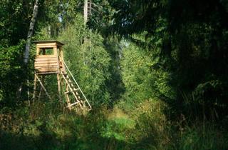 Grundstück zu kaufen in 1190 Wien, Exklusives Waldgrundstück in Döbling, Nähe Krapfenwaldbad