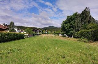 Grundstück zu kaufen in 2504 Sooß, Baugrund mit Fernblick in die Weinberge: 1100 m² für Ihr Traumhaus in exklusiver Grünruhelage - 20 Minuten nach Wien
