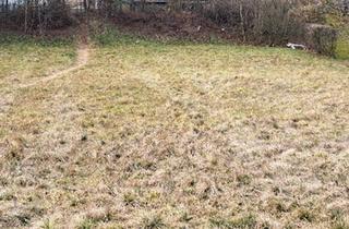 Grundstück zu kaufen in 3300 Amstetten, Preiswert und Eben Bauparzellen am Stadtrand