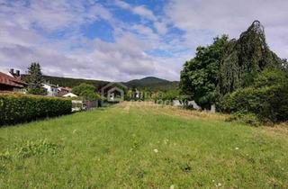 Grundstück zu kaufen in 2504 Sooß, Besonderes Baugrundstück in Grünruhelage mit Fernblick in den Weinbergen