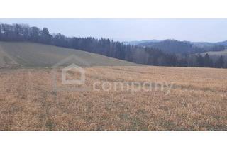 Agrarfläche kaufen in 2811 Wiesmath, Sommerpreis!! Ackerland in Wiesmath