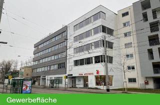 Büro zu mieten in Waagner-Biro-Straße 47, 8020 Graz, PROVISIONSFREI - Graz - Miete -