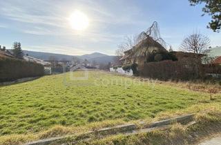 Grundstück zu kaufen in Baden, Bad Vöslau, 2504 Sooß, Exklusives Baugrundstück in Toplage - Weinberge & Waldidylle südlich von Wien
