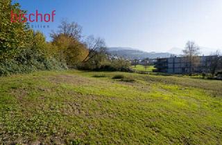 Grundstück zu kaufen in 6858 Schwarzach, Schönes Grundstück in leichter Hanglage