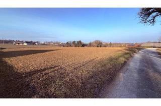  in 4551 Ried im Traunkreis, Betriebsbaugrund in attraktivster Lage!