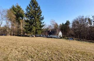 Bauernhäuser zu kaufen in 7562 Eltendorf, Stilvoll renoviertes Bauernhaus mit über 1,3 ha Grund