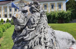 Haus kaufen in 4470 Enns, Interessantes Zinshaus in Enns!