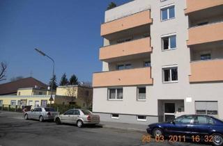 Wohnung mieten in Deublergasse, 1210 Wien, Grünblick - Sonnige gemüliche Wohnung nahe am Spitz - Provisionsfrei