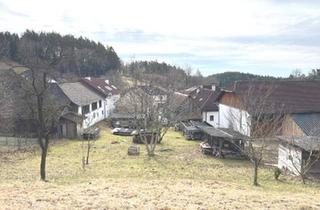 Grundstück zu kaufen in 4291 Freidorf, Grundstück mit Altbestand in sehr ruhiger, dörflicher Lage