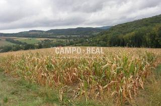 Agrarfläche kaufen in 3034 Maria-Anzbach, ACKERBAU: 7 ha guter Ackerboden, arrondiert, eigener Brunnen vorhanden, Wienerwaldregion