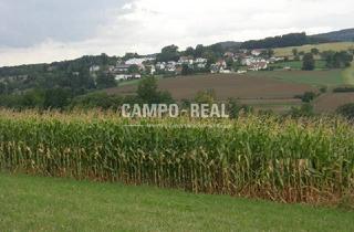 Agrarfläche kaufen in 3034 Maria-Anzbach, ACKERBAU: 7 ha Wirtschaftsboden, die Chance für eigenständige Produktion, arrondiert, eigener Brunnen vorhanden, Wienerwaldregion