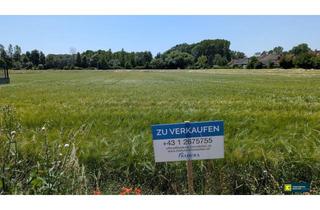Grundstück zu kaufen in 2454 Trautmannsdorf an der Leitha, Großes, attraktives Baugrundstück in sonniger, ruhiger Lage – Ideal für Ihr Projekt!