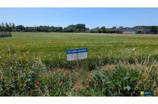 Grundstück zu kaufen in 2454 Trautmannsdorf an der Leitha, Großes, attraktives Baugrundstück in sonniger, ruhiger Lage – Ideal für Ihr Projekt!