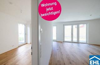 Wohnung kaufen in Kollonitschgasse, 2700 Wiener Neustadt, Naturnahe Wohnungen mit Garten im Koll Home Wr. Neustadt