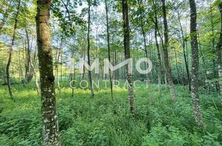 Grundstück zu kaufen in Irgerstetten, 3321 Stephanshart, Erholung pur im eigenen Wald mit Bach und Wiese