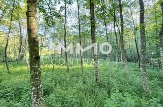 Grundstück zu kaufen in Irgerstetten, 3321 Stephanshart, Erholung pur im eigenen Wald mit Bach und Wiesen nähe Amstetten