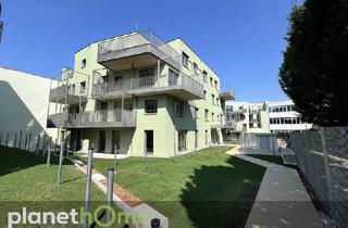 Wohnung mieten in 2700 Wiener Neustadt, Behagliche Startwohnung mit Loggia