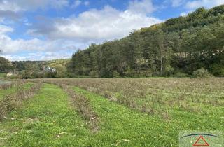 Gewerbeimmobilie kaufen in 8334 Leitersdorf im Raabtal, Johannisbeerplantagen in sonniger Traumlage Nähe der Riegersburg zu verkaufen!