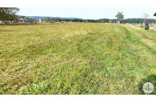 Bauernhäuser zu kaufen in 3970 Weitra, Sacherl - 1h nach Linz!