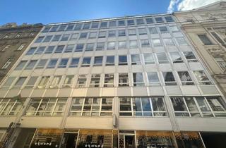 Büro zu mieten in Argentinierstraße, 1040 Wien, Funktionale Büroflächen nahe Karlskirche