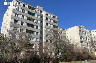 Wohnung kaufen in Mödling, 2351 Wiener Neudorf, 2351 Wiener Neudorf bei Mödling - 3 Zimmer Eigentum - Digitales Angebotsverfahren "immo-live" - 198.000,00 € (Startpreis)