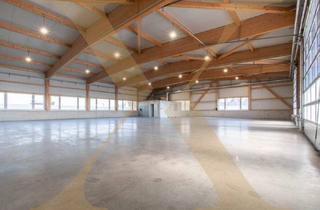 Gewerbeimmobilie mieten in 4341 Arbing, Neuwertige & beheizte Lager- oder Gewerbehalle mit Rolltor in Arbing (Bezirk Perg) zu vermieten!