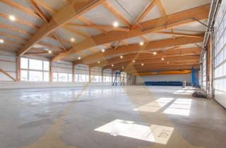 Gewerbeimmobilie mieten in 4341 Arbing, Neuwertige & beheizte Lager- oder Gewerbehalle inkl. Rolltor in Arbing (Bezirk Perg) zu vermieten!