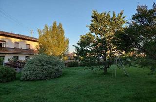 Grundstück zu kaufen in 5120 Haigermoos, Traumgrundstück mit Bergblick: ca.900 m² für Ihr Eigenheim
