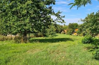 Haus kaufen in 2193 Wilfersdorf, TOP PREIS-LEISTUNGS-VERHÄLTNIS + Charmantes und helles Landhaus in wundervoller Lage+ Sonniger Garten 1.620 m² + 6 Zimmern und 2 Zufahrten++