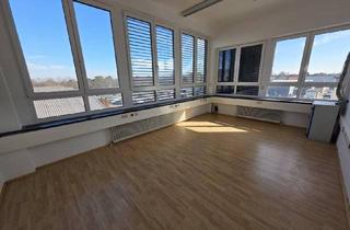 Büro zu mieten in Süddruckgasse, 2512 Traiskirchen, IZ Tribuswinkel: kostengünstige Büros