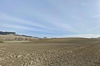 Gewerbeimmobilie kaufen in 4632 Pichl bei Wels, Großzügiges Grundstück in ruhiger Lage mit vielfältiger Nutzungsmöglichkeit!