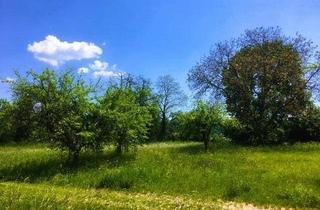 Grundstück zu kaufen in Mühlgasse 12, 2821 Lanzenkirchen, Ruhig gelegenes Baugrundstück inmitten der Natur (Fahnengrundstück)