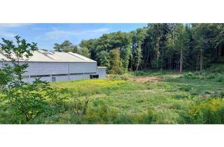 in Grazer Straße, 7423 Pinkafeld, Gewerbe und Handel in Pinkafeld