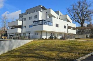Wohnung kaufen in 4501 Neuhofen an der Krems, Eigentumswohnung / Neuhofen an der Krems
