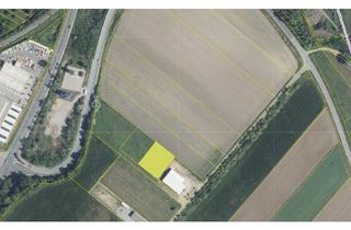 Grundstück zu kaufen in 2405 Bad Deutsch-Altenburg, Betriebsgrund zu verpachten