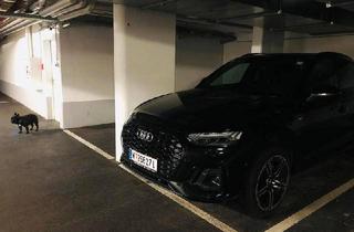 Garagen kaufen in Michelbeuerngasse, 1090 Wien, GROSSER GARAGENPLATZ inkl. ELEKTRO CHARGER Michelbeuerngasse /Tendlergasse 9.BEZ