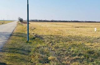 Grundstück zu kaufen in 2425 Nickelsdorf, Ebenes Grundstück in attraktiver Ortsrandlage - auch teilbar