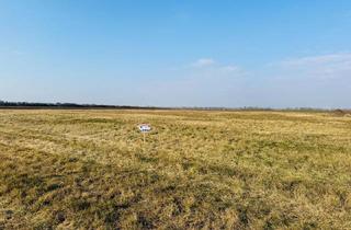 Grundstück zu kaufen in 2425 Nickelsdorf, Großes Grundstück in Ortsrandlage - ideal für Bauträger