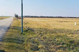 Grundstück zu kaufen in 2425 Nickelsdorf, Ebenes Grundstück auch teilbar in attraktiver Ortsrandlage