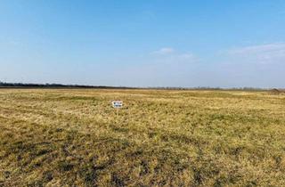 Grundstück zu kaufen in 2425 Nickelsdorf, Großes Grundstück in Ortsrandlage - ideal für Bauträger