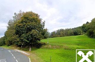 Gewerbeimmobilie kaufen in 9072 Ludmannsdorf, Wiese und Wald Nähe Ludmannsdorf