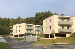Wohnung mieten in Gnies 226/4, 8261 Sinabelkirchen, PROVISIONSFREI - Sinabelkirchen - geförderte Miete ODER geförderte Miete mit Kaufoption - 3 Zimmer