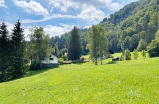 Grundstück zu kaufen in Am Haberpoint 7, 5323 Ebenau, Sonnen-Baugrundstück in Ebenau